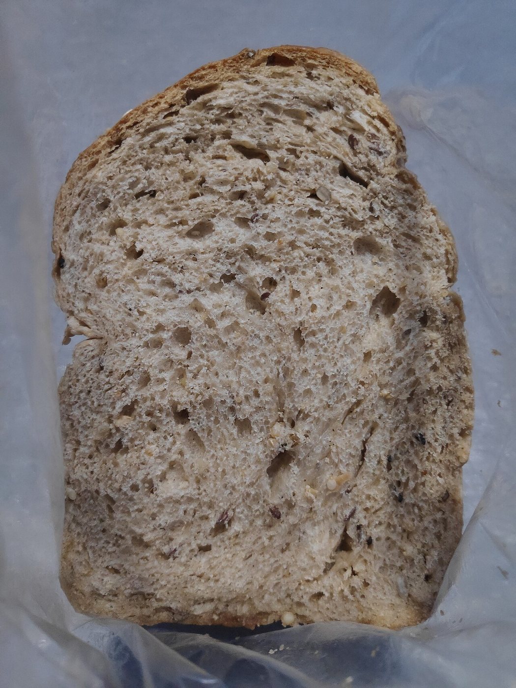 Bread first food reference