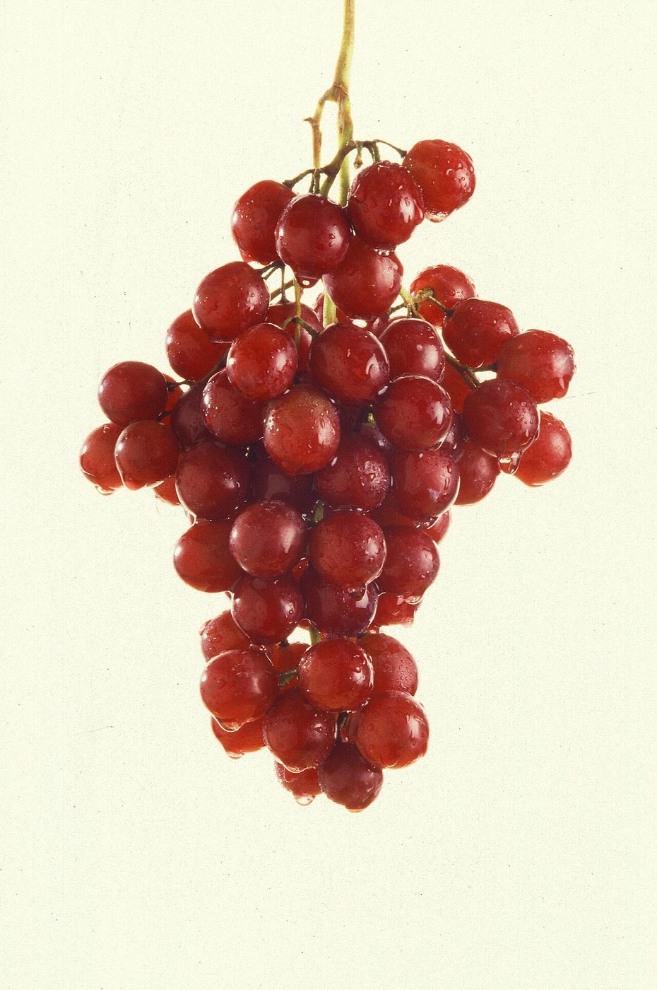 Grapes